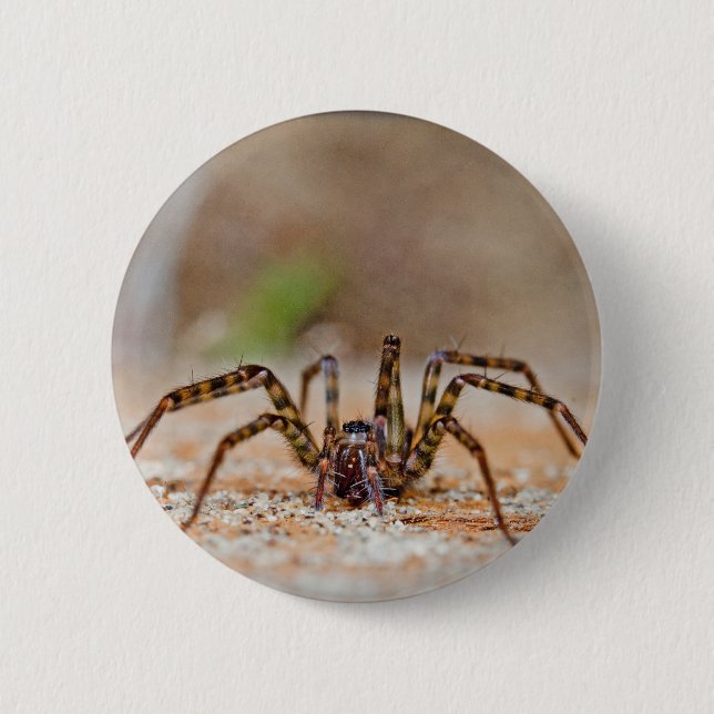 Macaron Rond 5 Cm araignée a (Devant)