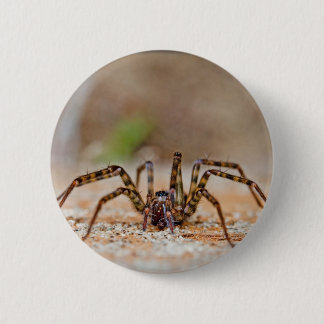 Macaron Rond 5 Cm araignée a