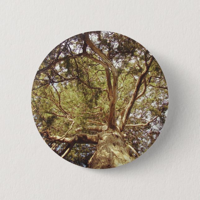 Macaron Rond 5 Cm Arbre (Devant)