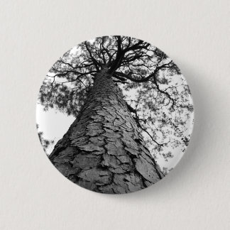 Macaron Rond 5 Cm Arbre grand BW