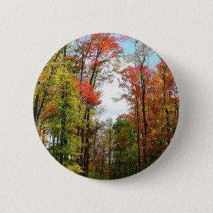 Macaron Rond 5 Cm Arbres d'automne et ciel bleu Photographie de la n