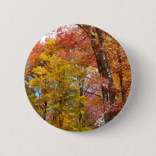 Macaron Rond 5 Cm Arbres d'automne orange et jaune Photographie d'au