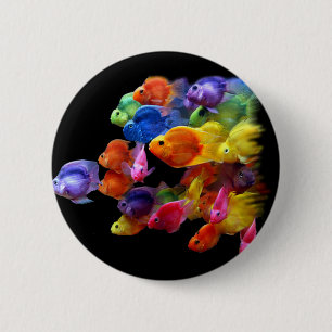 Macaron Rond 5 Cm Arc-en-ciel de scare