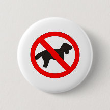 Aucun signe de chiens