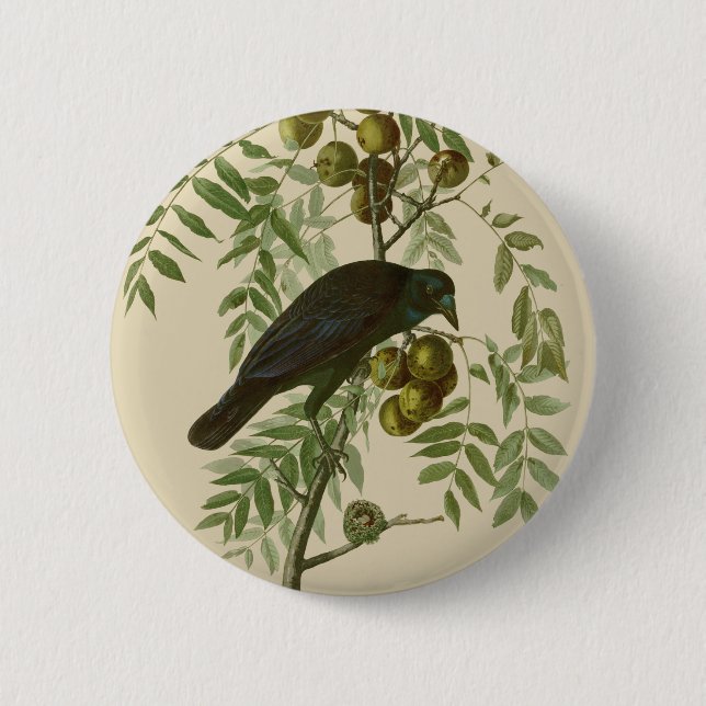 Macaron Rond 5 Cm Audubon American Crow Black Bird (Devant)