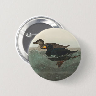 Macaron Rond 5 Cm Audubon American Scoter Duck Classic