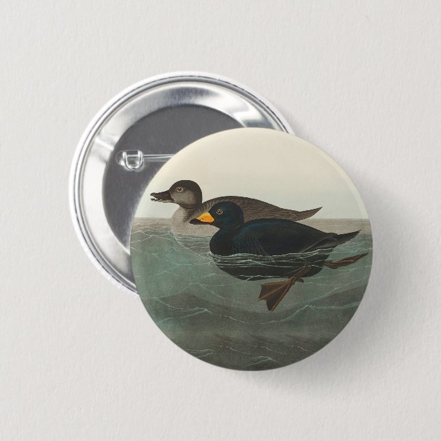 Macaron Rond 5 Cm Audubon American Scoter Duck Classic (Devant & derrière)