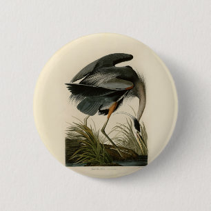 Macaron Rond 5 Cm Audubon Great Blue Heron Marsh Bird
