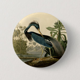 Macaron Rond 5 Cm Audubon Héron de Louisiane Oiseaux Amérique Art