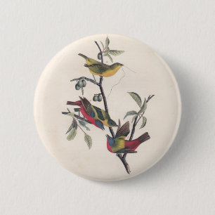 Macaron Rond 5 Cm Audubon Peint Bunting Bird Wildlife