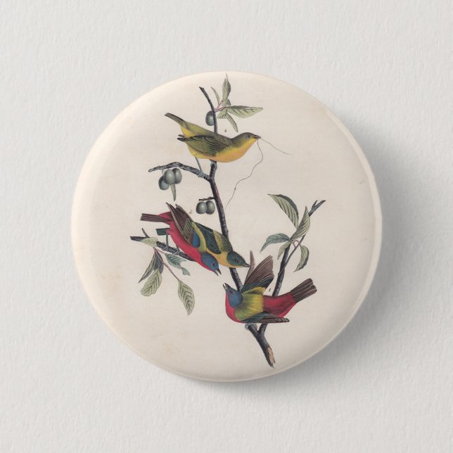 Macaron Rond 5 Cm Audubon Peint Bunting Bird Wildlife (Devant)