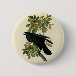 Macaron Rond 5 Cm Audubon Raven Oiseau classique