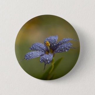 Macaron Rond 5 Cm Aux yeux bleus déwy