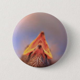 Macaron Rond 5 Cm Baby Bird 2