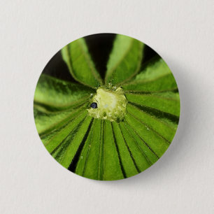 Macaron Rond 5 Cm Baby Palm Plante par Shirley Taylor