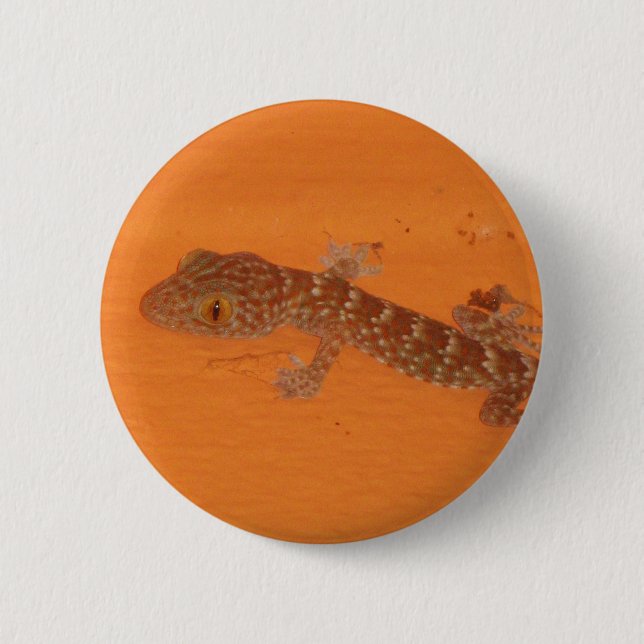 Macaron Rond 5 Cm Baby Tokay Gecko (Devant)