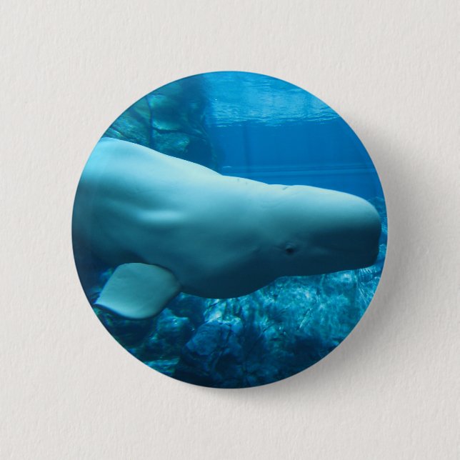 Macaron Rond 5 Cm Baleine espiègle mignonne de beluga dans (Devant)