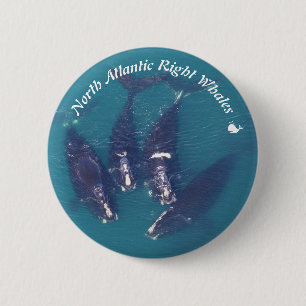 Macaron Rond 5 Cm Baleines droites d'Atlantique nord par RoseWrites