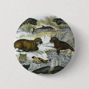 Macaron Rond 5 Cm Baleines vintages, phoques et morses, animaux mari