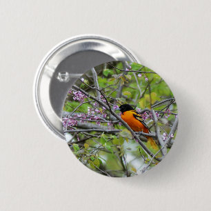 Macaron Rond 5 Cm Baltimore Oriole