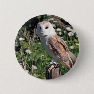 Macaron Rond 5 Cm Barn Owl