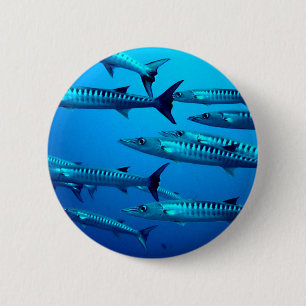 Macaron Rond 5 Cm barracuda plongée mer profonde océan eau tropicale