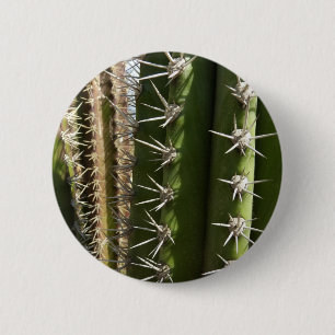 Macaron Rond 5 Cm Barrel Cactus II Désert Nature Photo