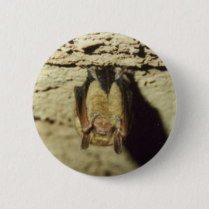 Macaron Rond 5 Cm Bat