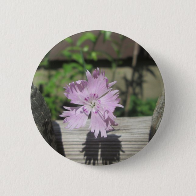 Macaron Rond 5 Cm Bath Dianthus (Devant)