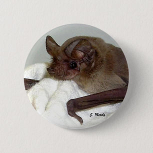 Macaron Rond 5 Cm Batte Libre-coupée la queue par Mexicain