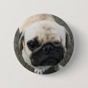 Macaron Rond 5 Cm Bauwk ... Chien carlin ... Thaïlande