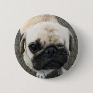 Macaron Rond 5 Cm Bauwk ... Chien Pug ... Thaïlande