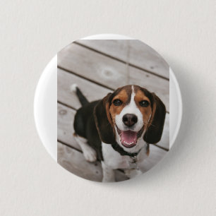 Macaron Rond 5 Cm Beagle_puppy assis
