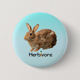 Macaron Rond 5 Cm Beau bleu herbivore sauvage de lapin