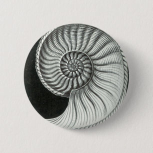 Macaron Rond 5 Cm Beau dessin au crayon d'ammonite d'Amaltheus