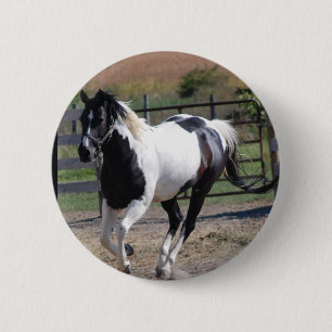 Macaron Rond 5 Cm Beau Paint Pinto Horse
