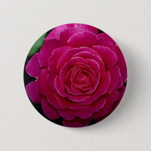 Macaron Rond 5 Cm Beau rose de thé hybride 'Tiffany'leaves