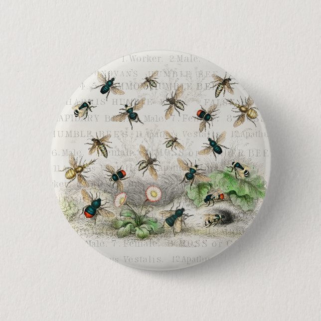 Macaron Rond 5 Cm Bee Honey Travailleur Queen Bees Antique (Devant)