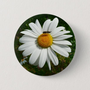 Macaron Rond 5 Cm Bee on Daisy Alaskan Summer Nature