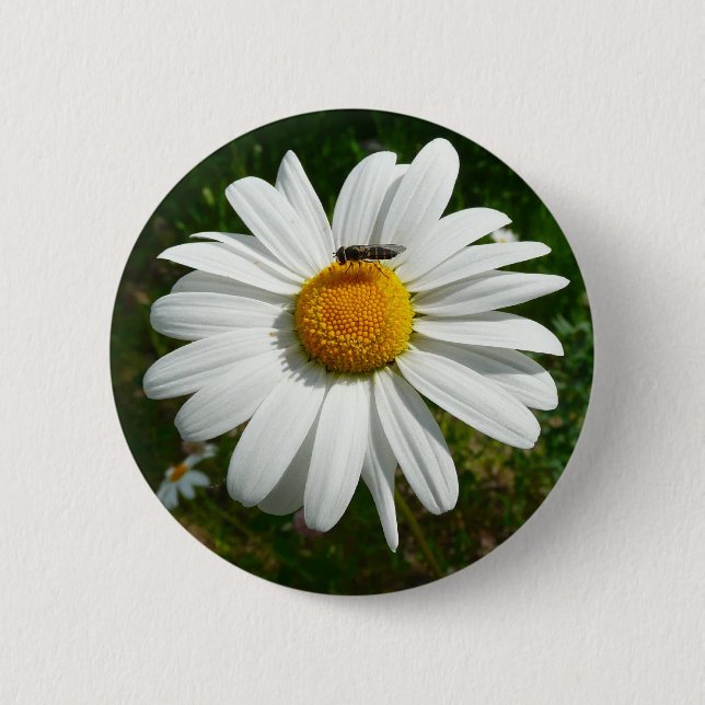 Macaron Rond 5 Cm Bee on Daisy Alaskan Summer Nature (Devant)