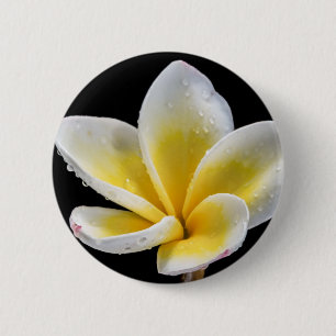Macaron Rond 5 Cm Belle fleur blanc-jaune de Plumeria