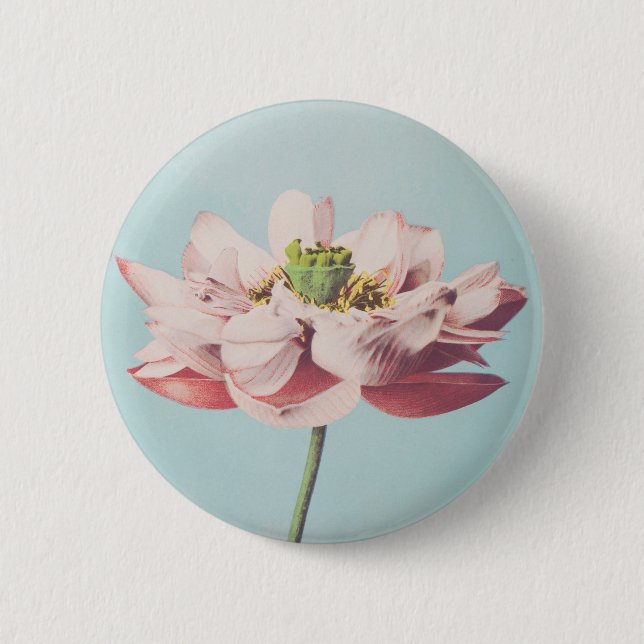 Macaron Rond 5 Cm Belles impressions photomécaniques de fleurs Lotus (Devant)