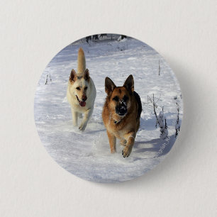 Macaron Rond 5 Cm Bergers allemands courant dans la neige