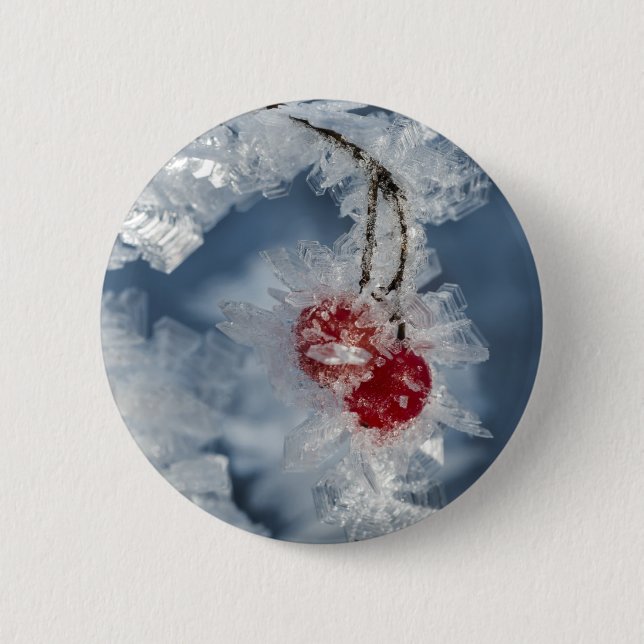 Macaron Rond 5 Cm Berry (Devant)