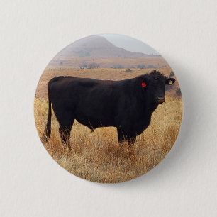 Macaron Rond 5 Cm Black Angus Steer Grazing with its Herd