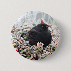Macaron Rond 5 Cm Blackbird d'hiver