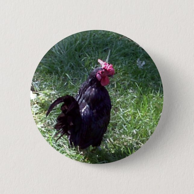 Macaron Rond 5 Cm Blackbird le coq noir (Devant)