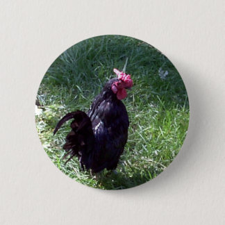 Macaron Rond 5 Cm Blackbird le coq noir