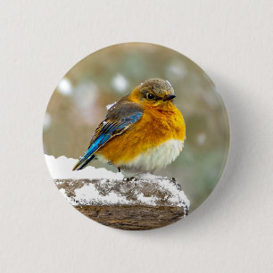 Macaron Rond 5 Cm Bleuet de l'Est en neige - Photo originale