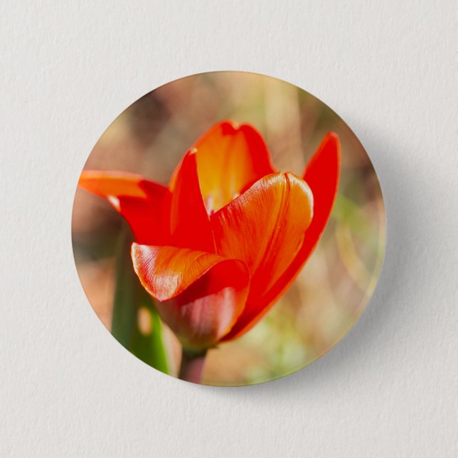Macaron Rond 5 Cm Blossom de la tulipe rouge (Devant)